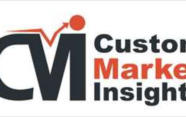 Custom Market Insights Research Methodology