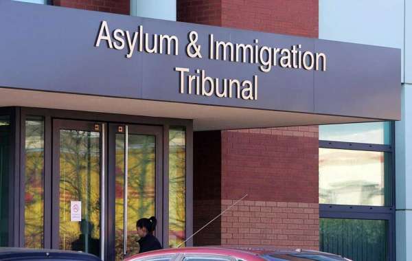 How to Build a Strong Asylum Case: Insights from Immigration Solicitors4me